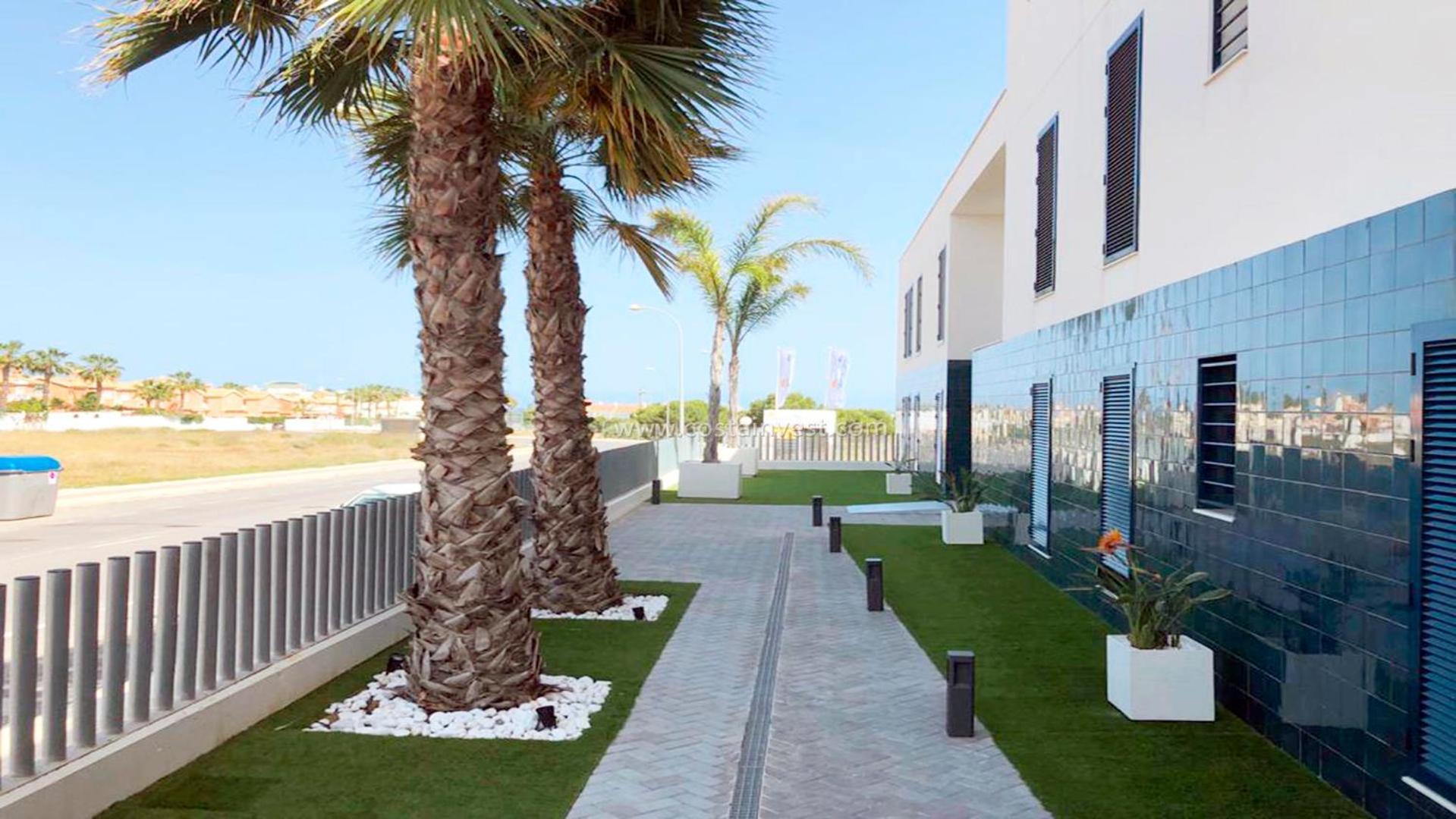 شقة Palmview Poolside Heaven In Turquesa Del Mar أوريويلا المظهر الخارجي الصورة